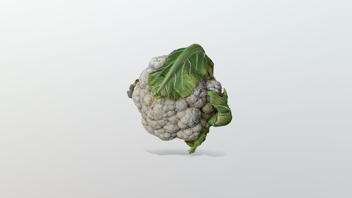 Cauliflower | 03.12.21 3D Model