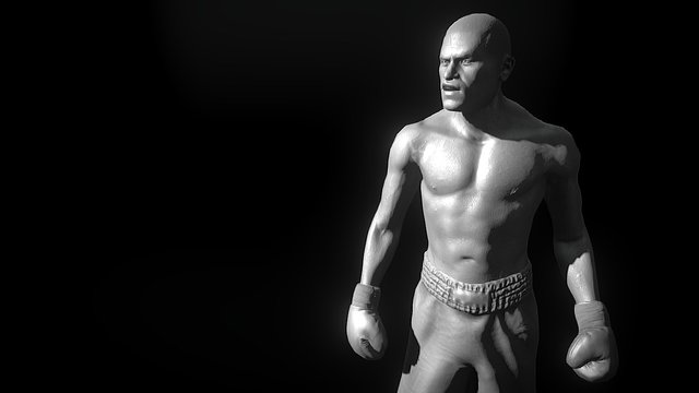 Boxer 3D Model