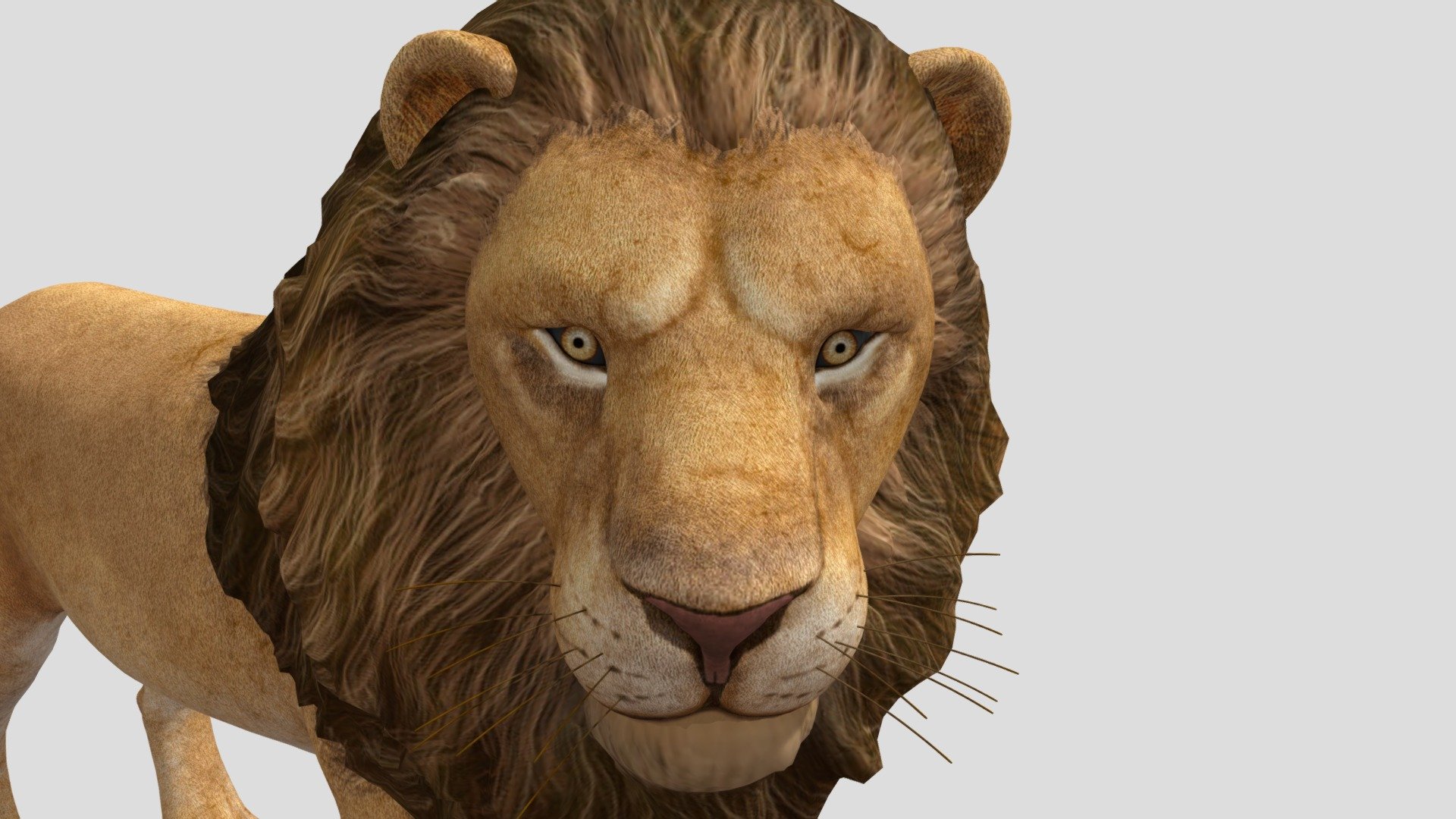 lion Download Free 3D model by neighbor ( kylekip) d2d99a2 Sketchfab lion Download Free 3D model by neighbor ( kylekip) d2d99a2 Sketchfab