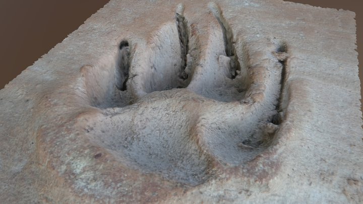 Paw print in clay 3D Model