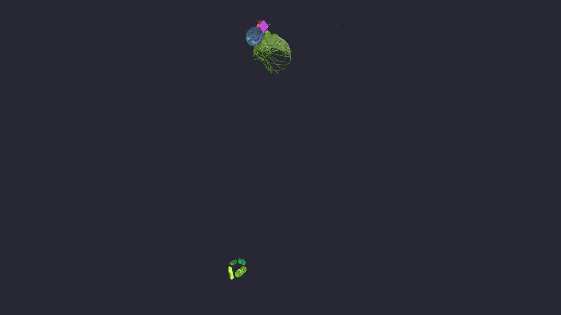 Frogs
