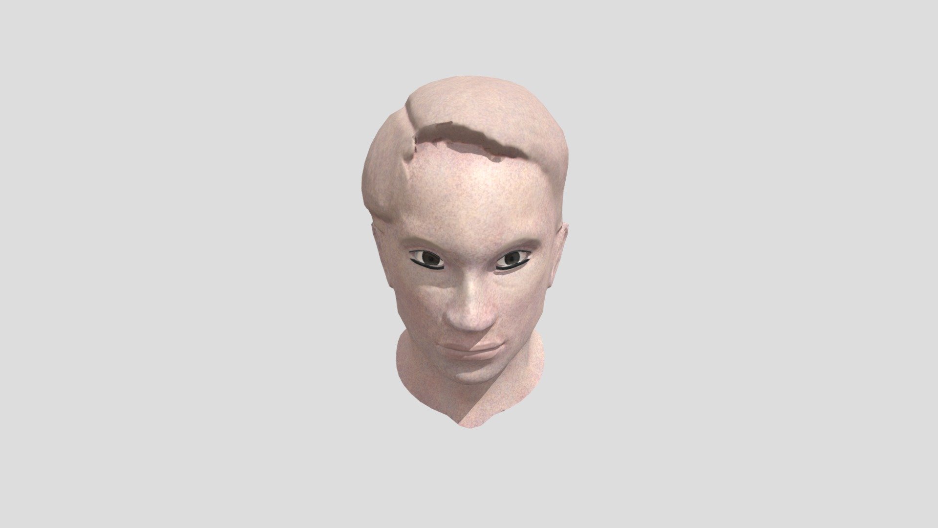 Zven Bust