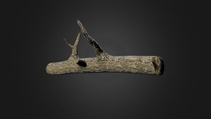 Broken Trunk 3D Model