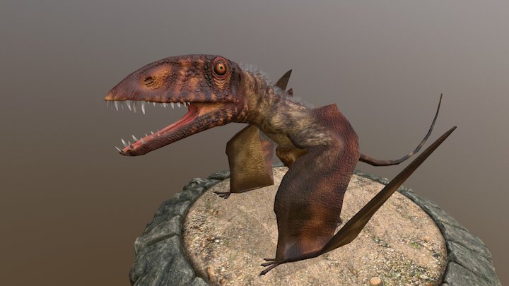 Dimorphodon 3D Model