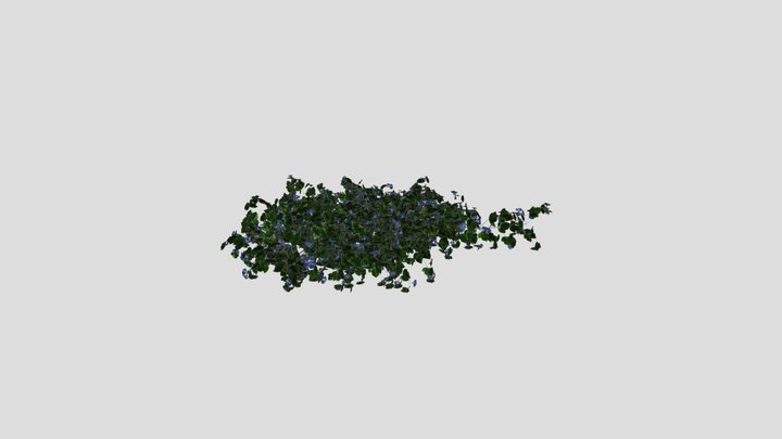 Flower Ivy Wall Plant