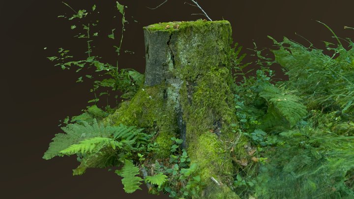 Bigger mossy tree stump 3D Model