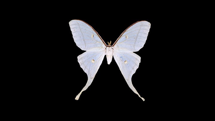 0605-0-S 3D Model