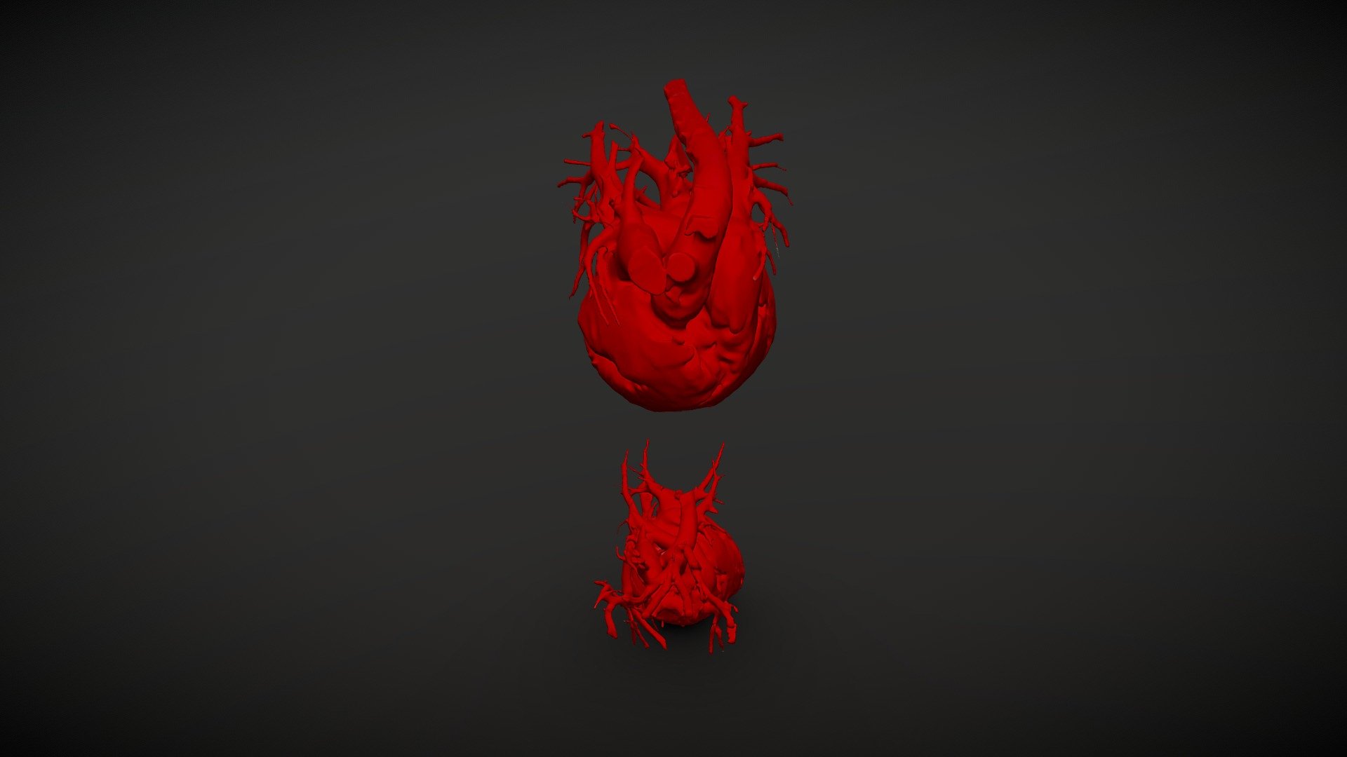 Normal and Abnormal Canine Heart Comparison