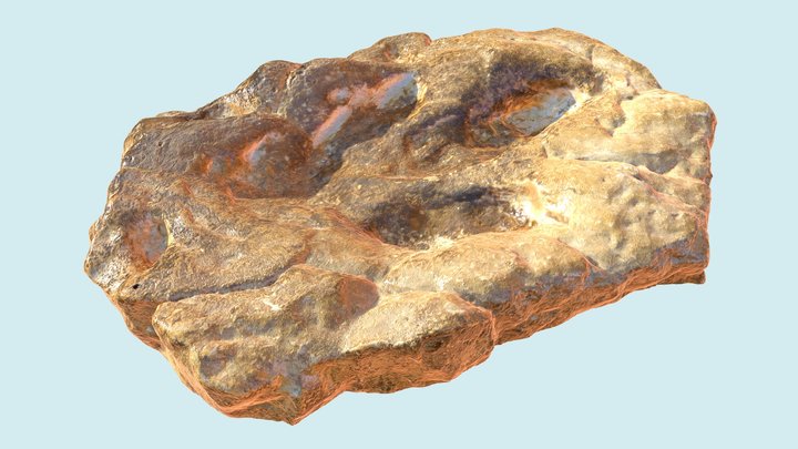 Dinosaur Fossil Footprint 3D Model