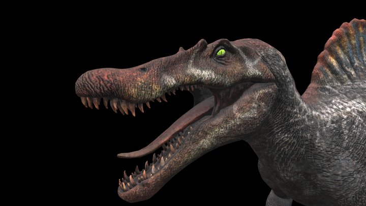 Spinosaurus 3D Model