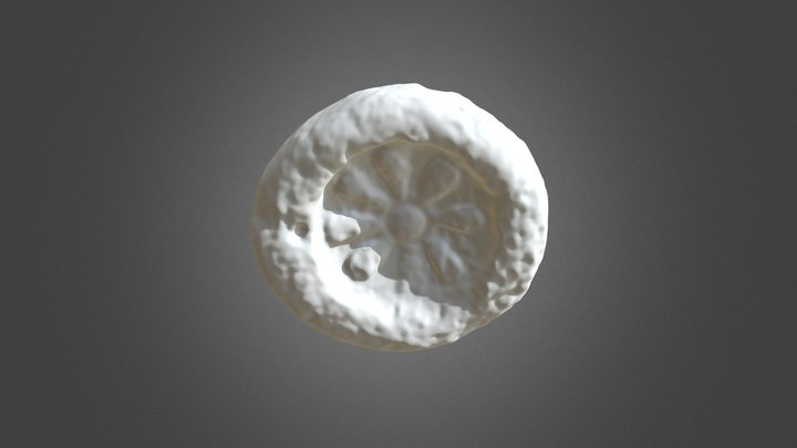 Virtual Amarna: 36728 Clay Mould 3D Model