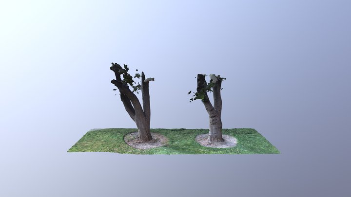 Two Trees High (R2) 3D Model