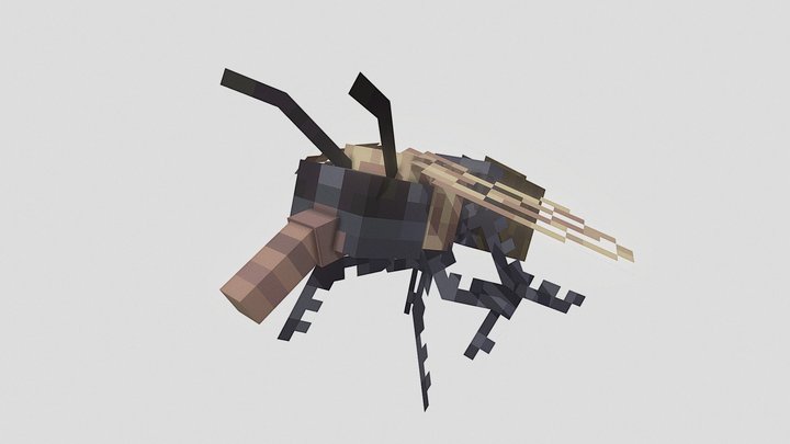 Plague Fly 3D Model