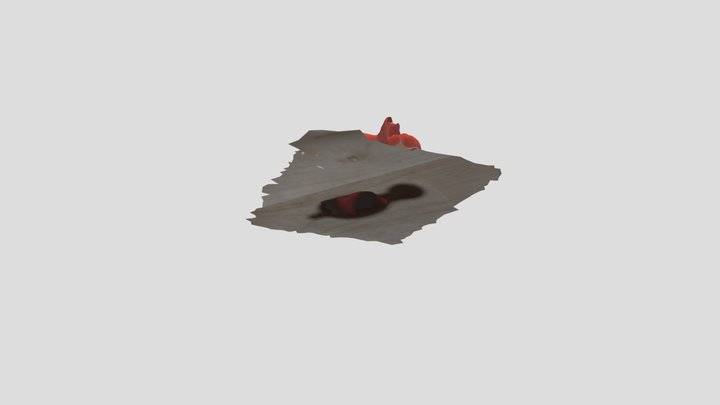 model z videa 3D Model