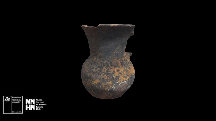 Jarro de la Araucanía – Free 3D Model STL