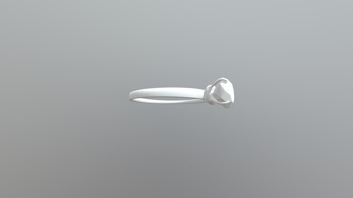 Ring-sam 3D Model