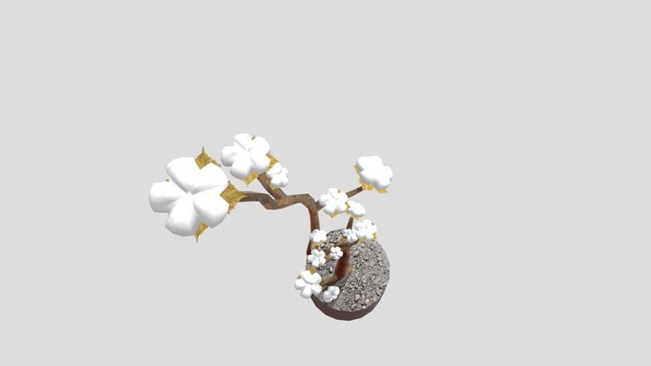Cotton Branch 3D Model