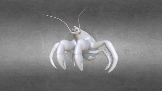 Coconut Crab 3D Model