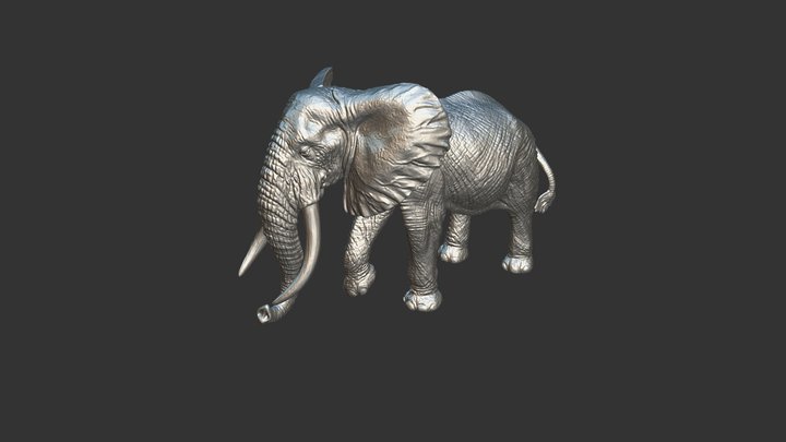 Scanner 3D à main - Jouet - Eléphant 2 3D Model