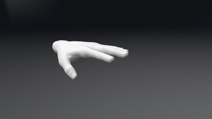 Hand 3D Model