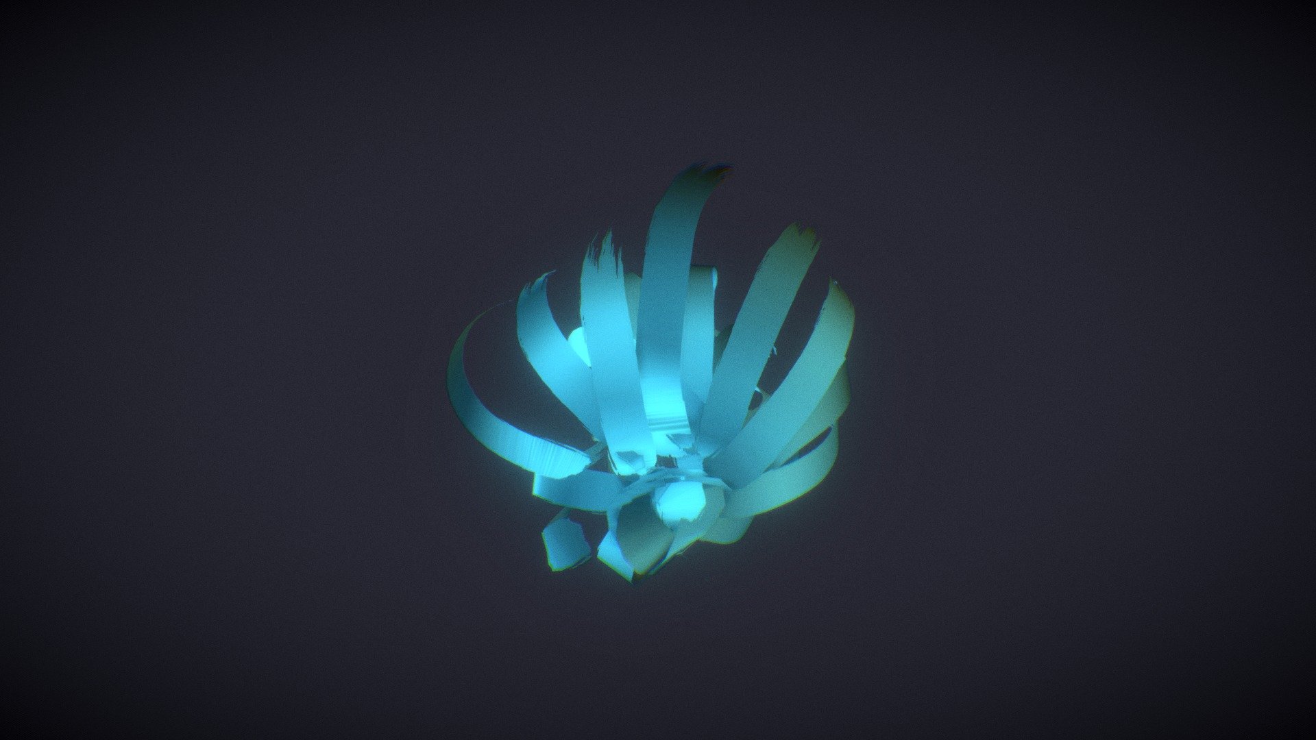 lil night flower