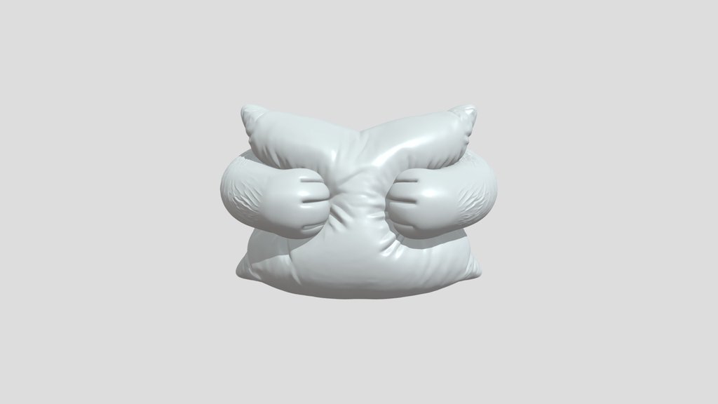 Two racoon arms and paws holding a pillow