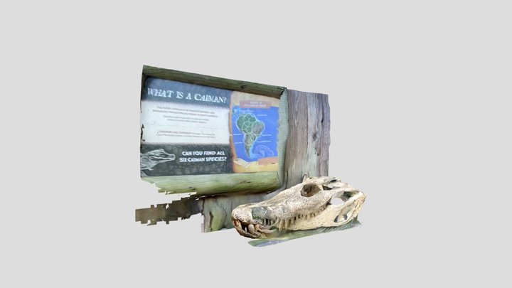 Black caiman 3D Model