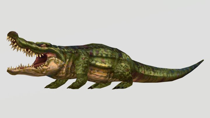 HSW Saltwater Crocodile – Free 3D Model STL