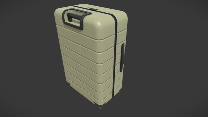 Luggage 3D Model