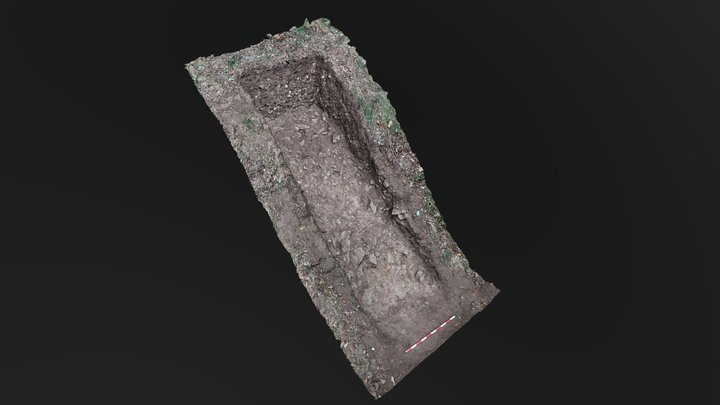 Alava'21 - Sondeo D 3D Model