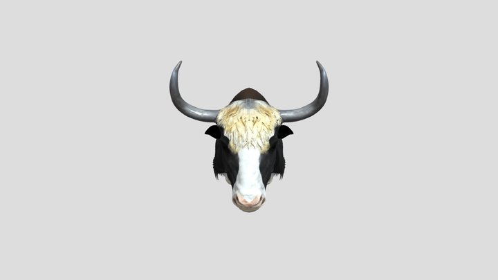 Mounted Yak Display 3D Model