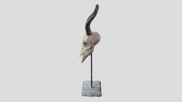 Skull V3 3D Model