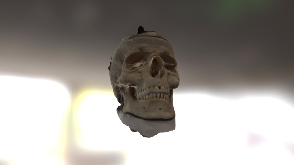 The Skull