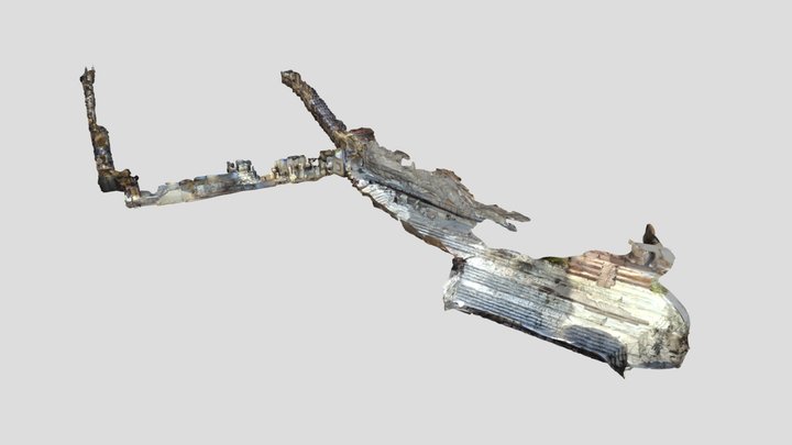 3D Siloam Scan 3D Model