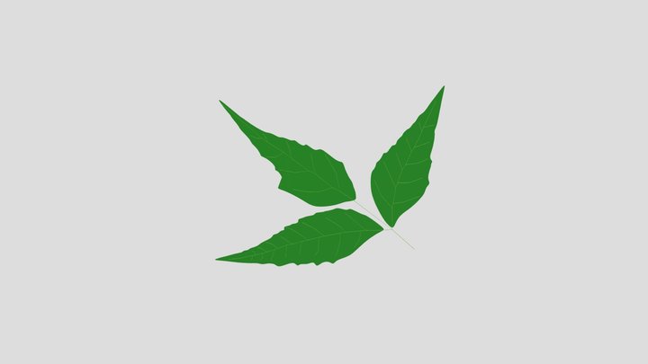 3D Low-Poly Leaf Model | Game Ready Nature Asset