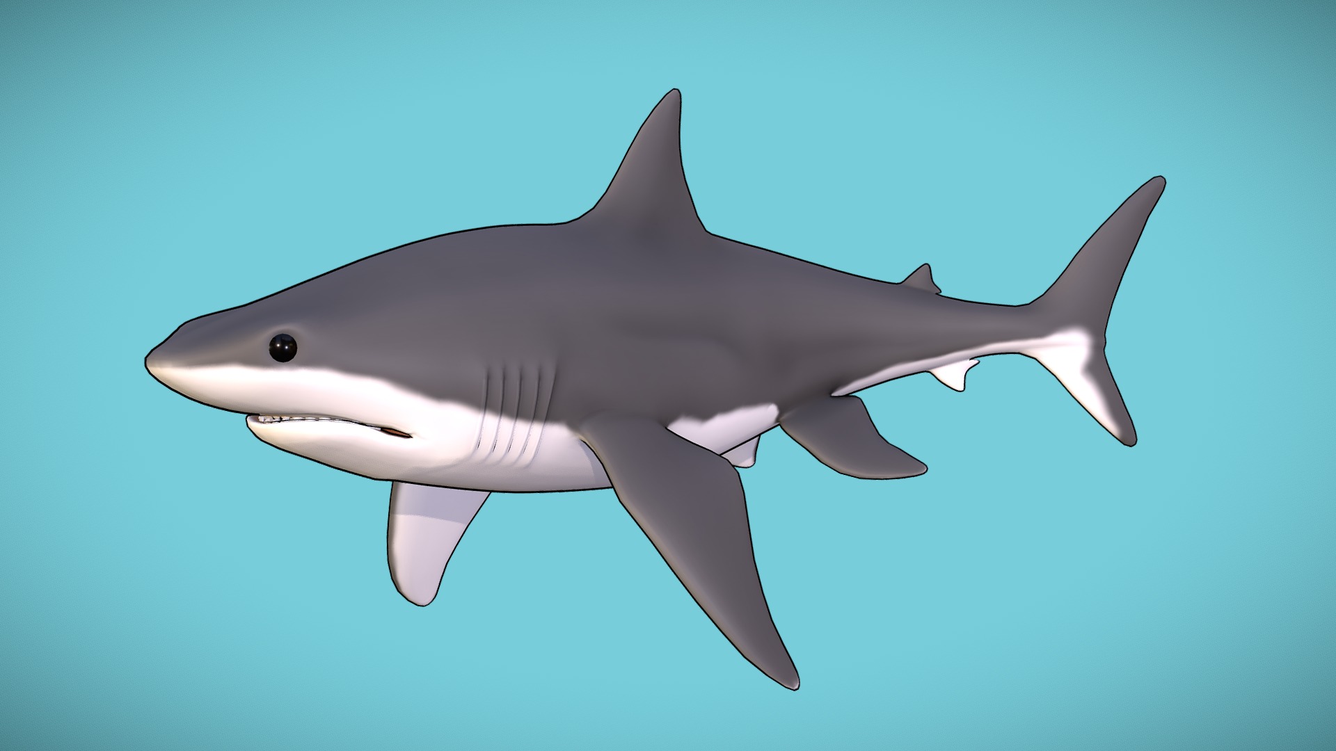 3D model Great White Shark - This is a 3D model of the Great White Shark. The 3D model is about a shark swimming in the water.