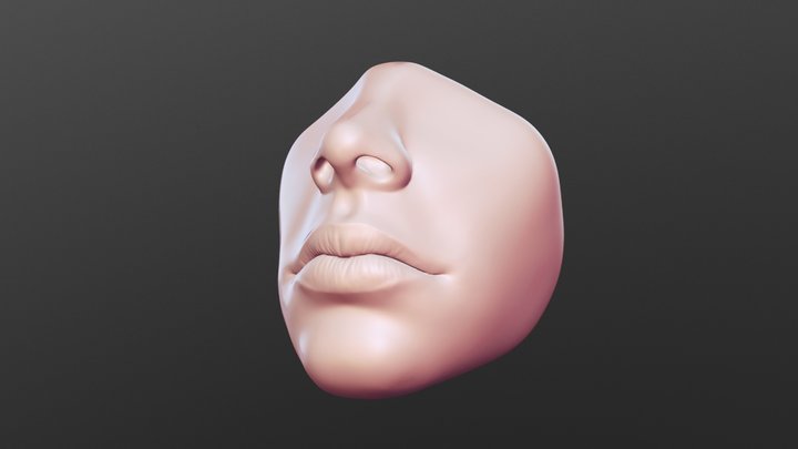 Sculpt January - Nose and Mouth - Day 1 3D Model