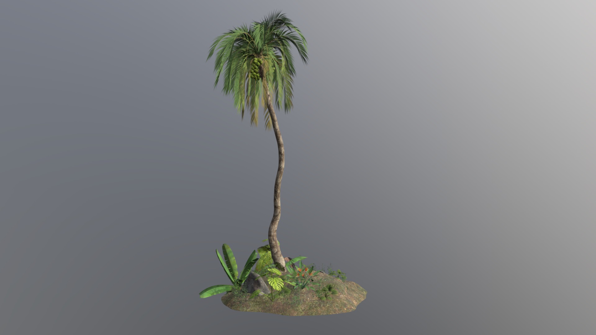 3D model Tropical Plants - This is a 3D model of the Tropical Plants. The 3D model is about a tree on a rock.