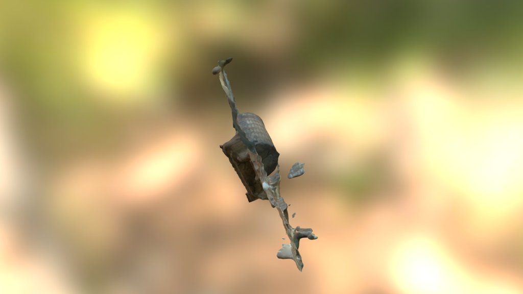 Abcd - 3D model by SherryHuang [d33b386] - Sketchfab
