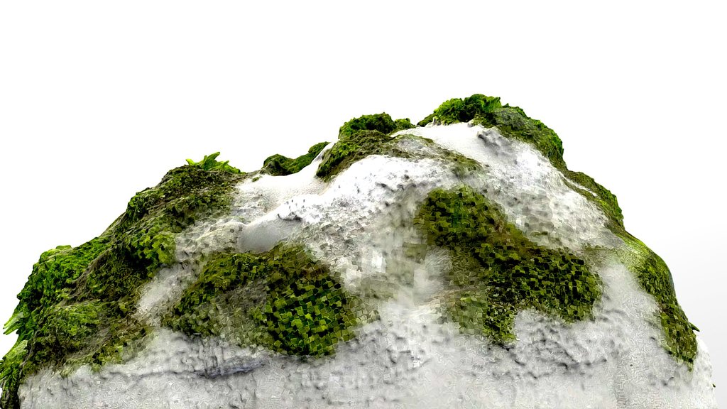 Moss-Covered Rock with Hollow