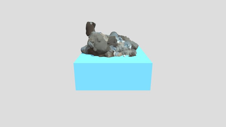 Unity Model 1 3D Model