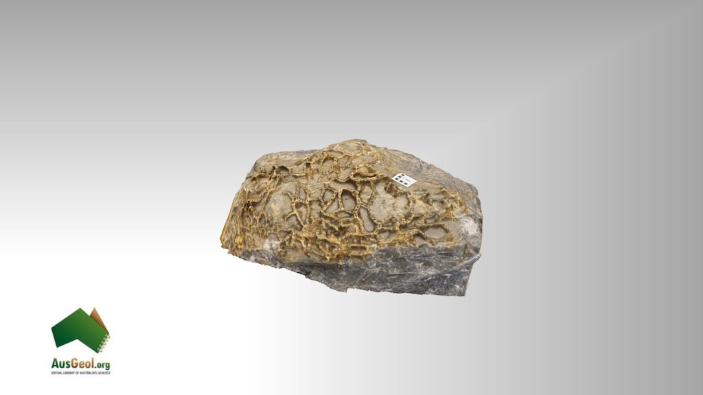 Coral2