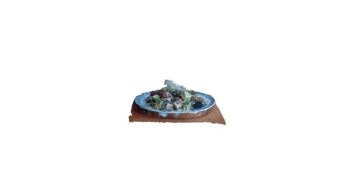 Le plat du jour - Salade Raw Mix 3D Model