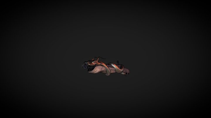 Dragon Matchlock 3D Model