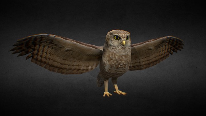 UNIVATES - Coruja 3D Model
