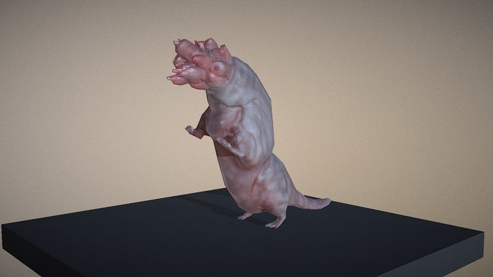 Mutated Rat 3D Model