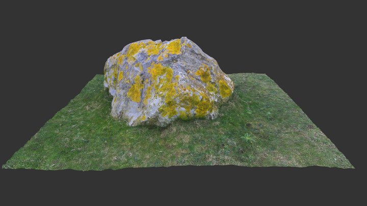 Coastal Rock 3D Model