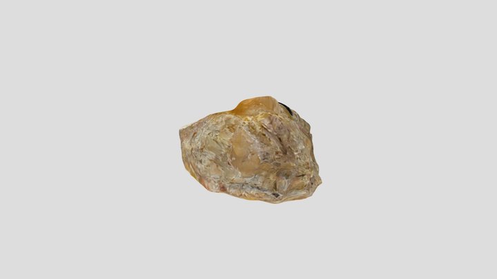 #41 3D Model