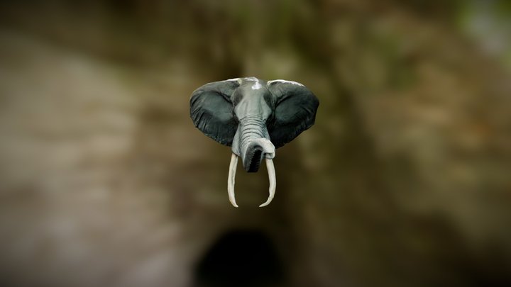 Elephant from the George Eastman House 3D Model