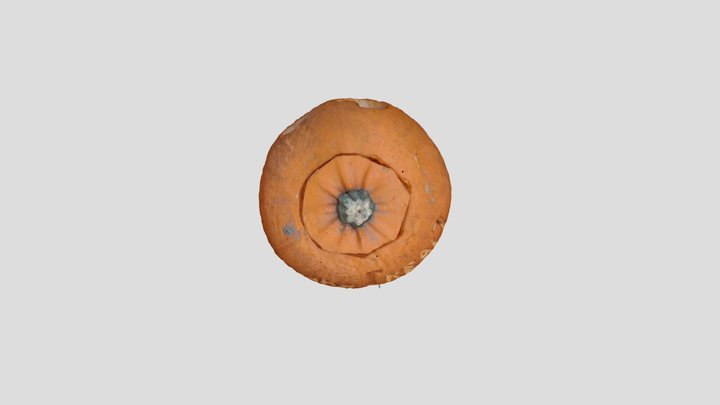 My impressive 3D asset 3D Model